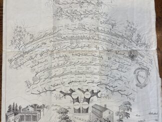 The Genealogical Tree of the Vespucci Family ~ New Haven H. Mansfield Publisher