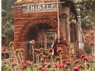 2009 ~ The Historical Guide to ~ Utah Ghost Towns ~ Stephen L. Carr