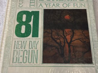 Wildcat 1981 ~ South Summit High ~ Yearbook